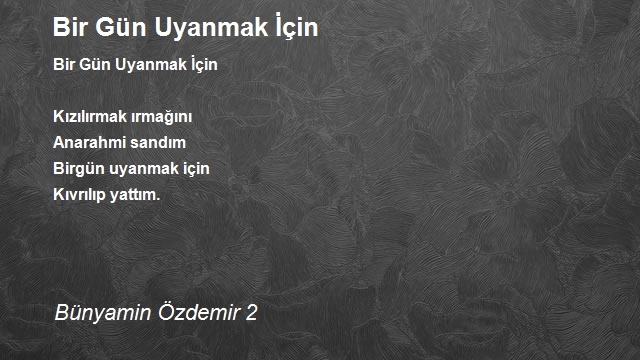 Bünyamin Özdemir 2