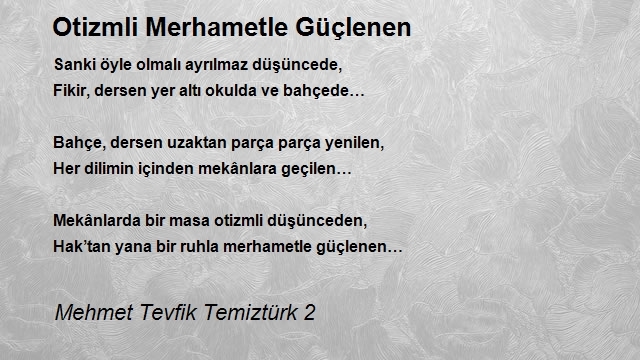 Mehmet Tevfik Temiztürk 2