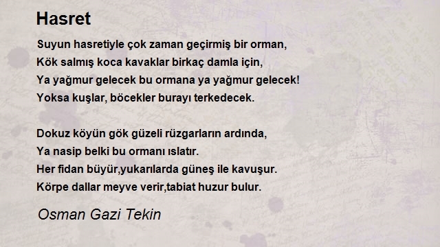 Osman Gazi Tekin