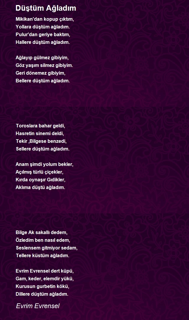 Evrim Evrensel