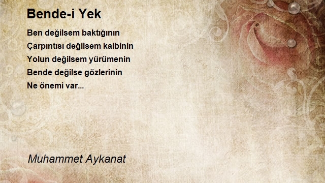 Muhammet Aykanat