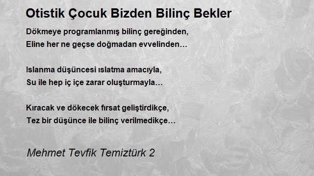 Mehmet Tevfik Temiztürk 2