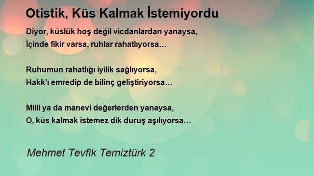 Mehmet Tevfik Temiztürk 2