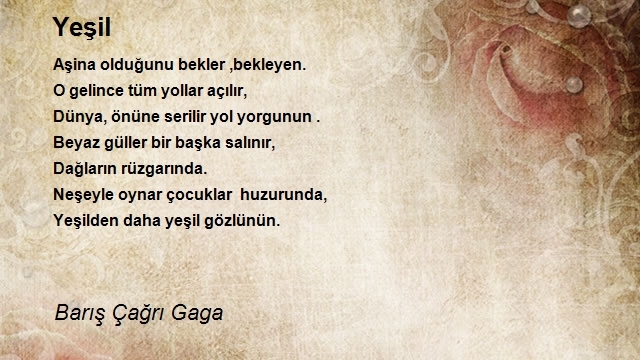 Barış Çağrı Gaga