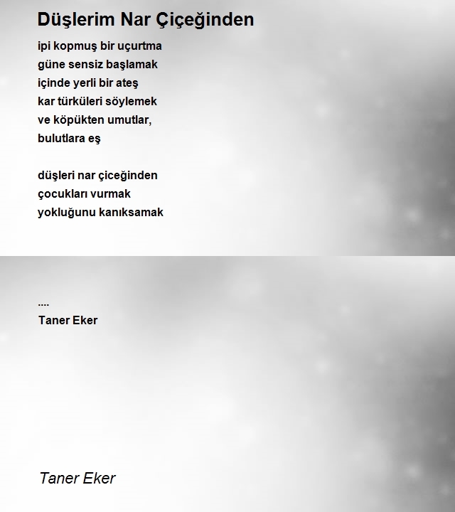 Taner Eker