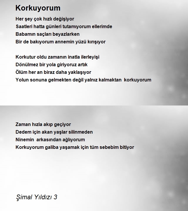 Şimal Yıldızı 3