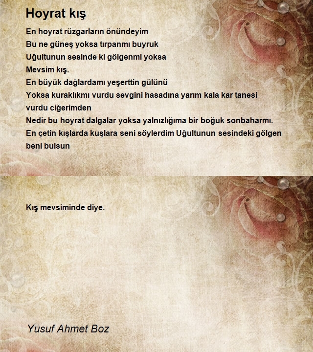 Yusuf Ahmet Boz