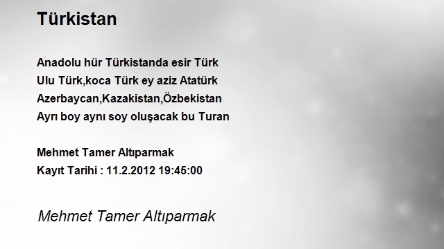 Mehmet Tamer Altıparmak