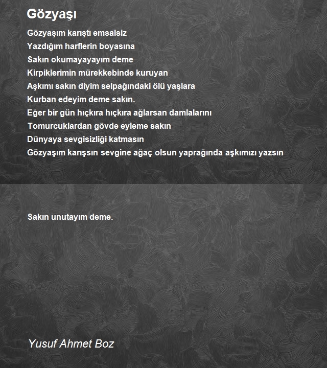 Yusuf Ahmet Boz