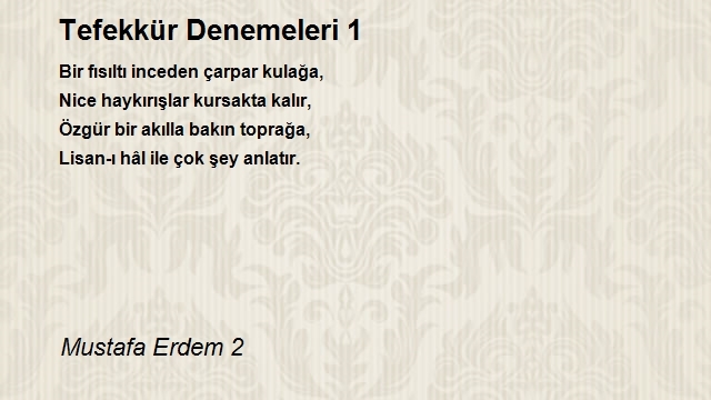 Erdem Mustafa