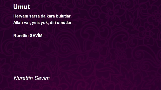 Nurettin Sevim