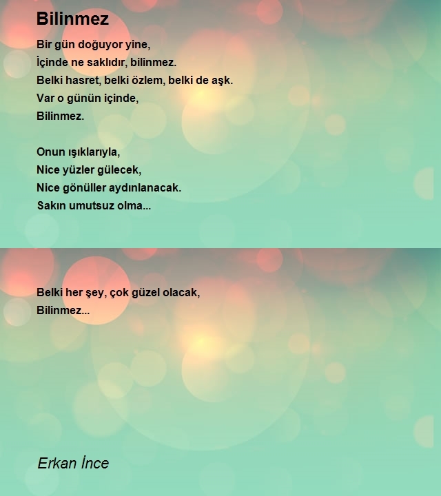 Erkan İnce