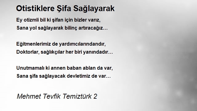 Mehmet Tevfik Temiztürk 2