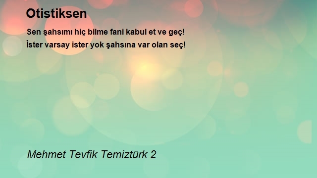 Mehmet Tevfik Temiztürk 2