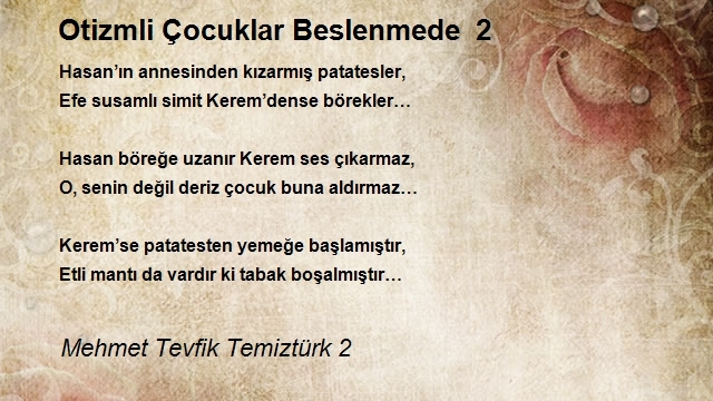 Mehmet Tevfik Temiztürk 2