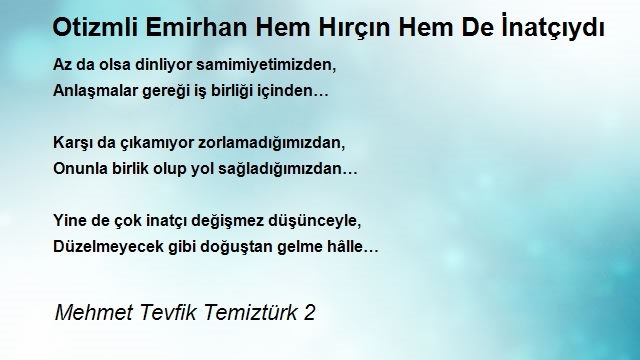 Mehmet Tevfik Temiztürk 2