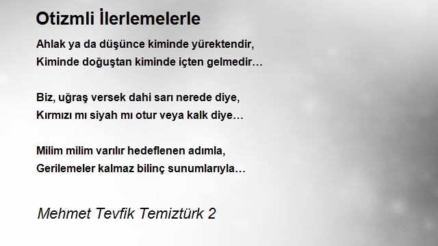 Mehmet Tevfik Temiztürk 2