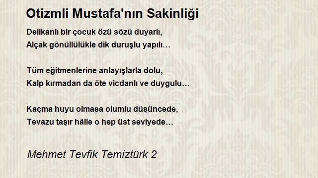 Mehmet Tevfik Temiztürk 2