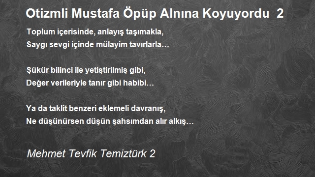 Mehmet Tevfik Temiztürk 2