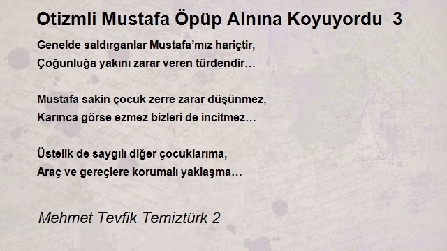 Mehmet Tevfik Temiztürk 2