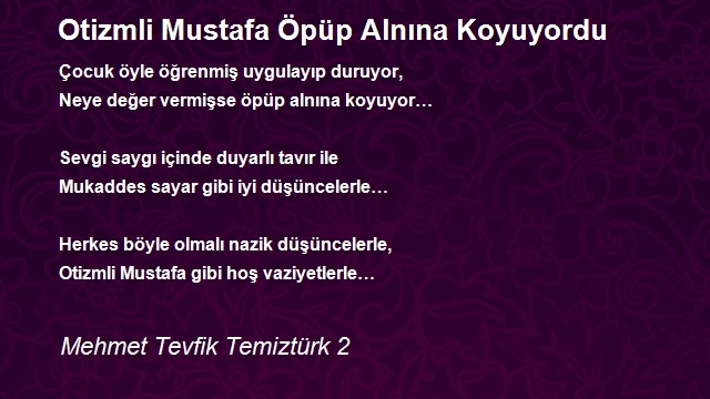 Mehmet Tevfik Temiztürk 2