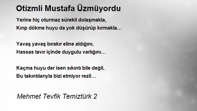 Mehmet Tevfik Temiztürk 2