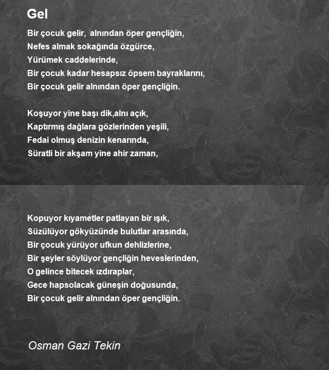 Osman Gazi Tekin