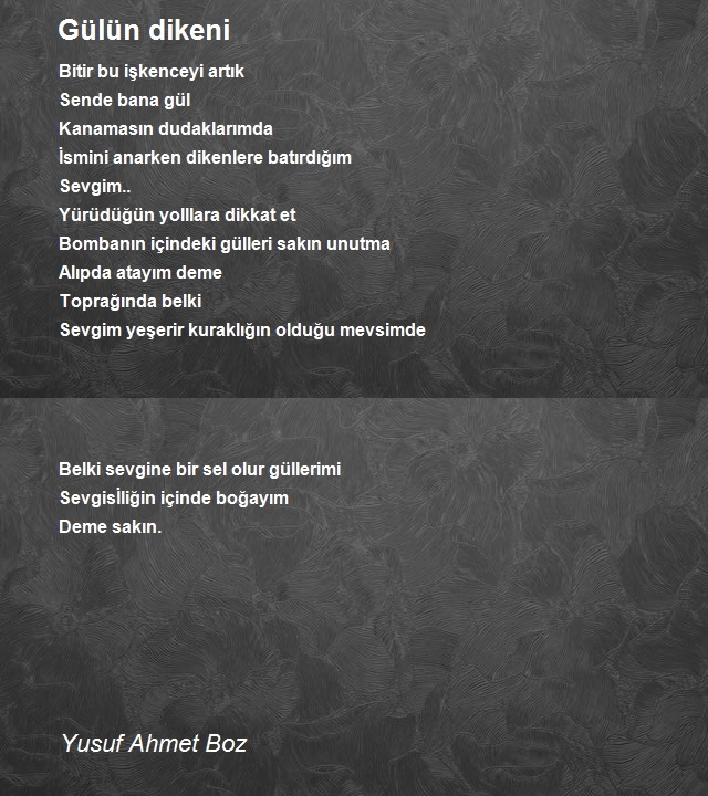 Yusuf Ahmet Boz