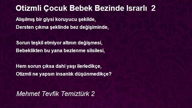 Mehmet Tevfik Temiztürk 2