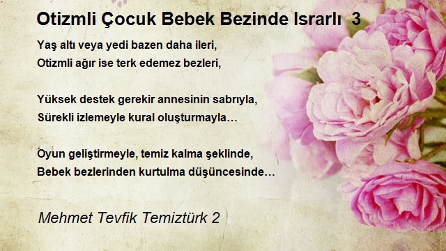 Mehmet Tevfik Temiztürk 2