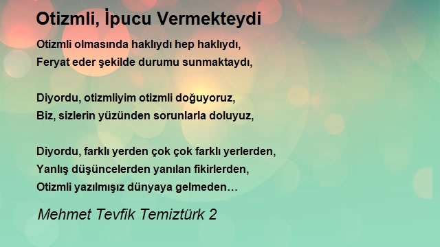 Mehmet Tevfik Temiztürk 2