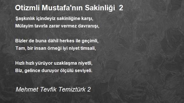 Mehmet Tevfik Temiztürk 2