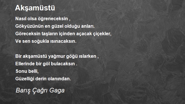 Barış Çağrı Gaga