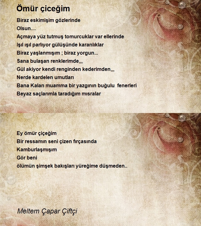 Meltem Çapar Çiftçi