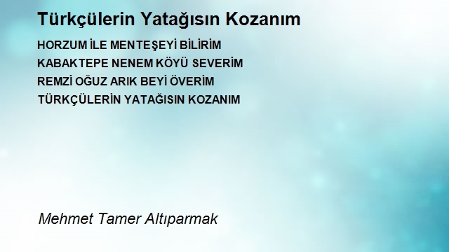 Mehmet Tamer Altıparmak