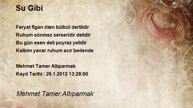 Mehmet Tamer Altıparmak