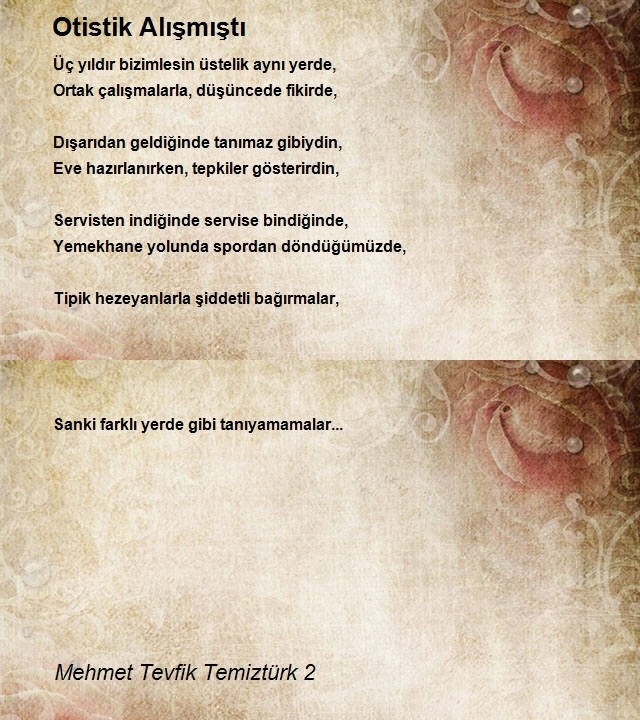 Mehmet Tevfik Temiztürk 2