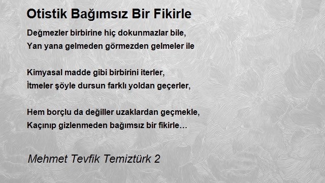 Mehmet Tevfik Temiztürk 2