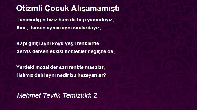 Mehmet Tevfik Temiztürk 2