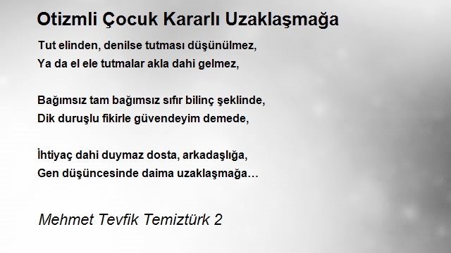 Mehmet Tevfik Temiztürk 2