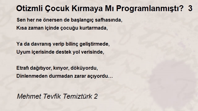 Mehmet Tevfik Temiztürk 2