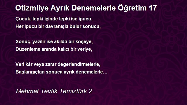 Mehmet Tevfik Temiztürk 2