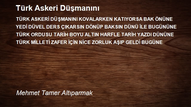 Mehmet Tamer Altıparmak