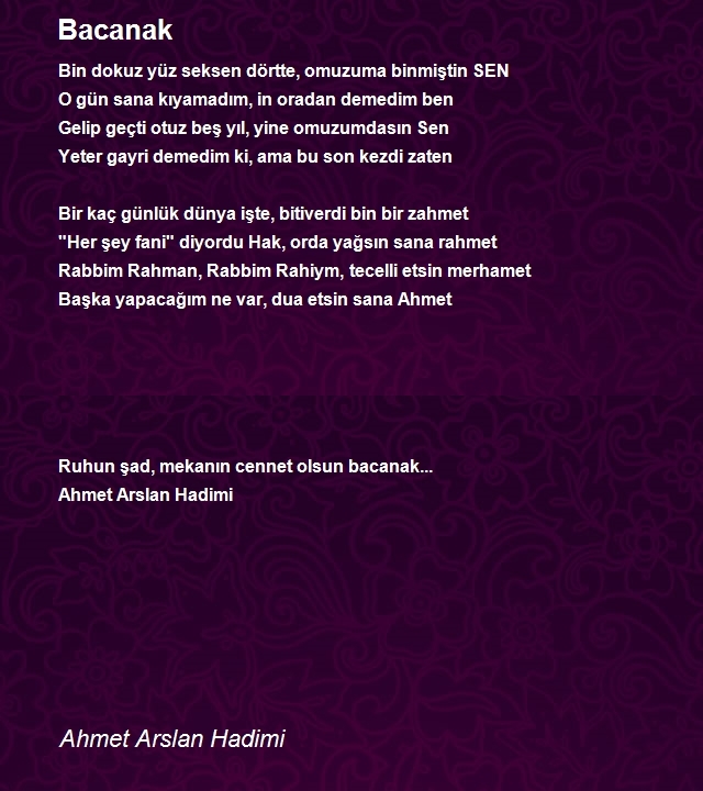 Ahmet Arslan Hadimi