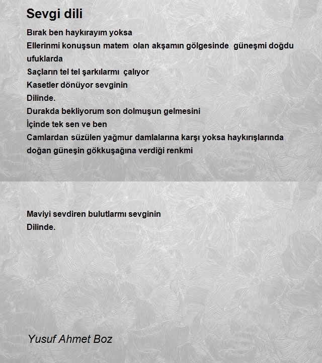 Yusuf Ahmet Boz