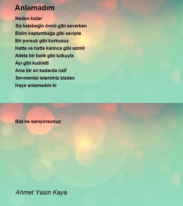 Ahmet Yasin Kaya