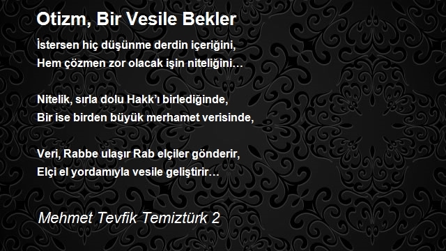 Mehmet Tevfik Temiztürk 2