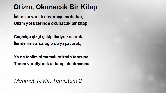 Mehmet Tevfik Temiztürk 2