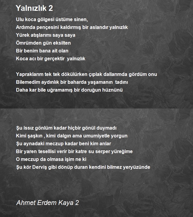 Ahmet Erdem Kaya 2