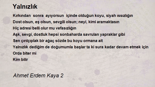 Ahmet Erdem Kaya 2